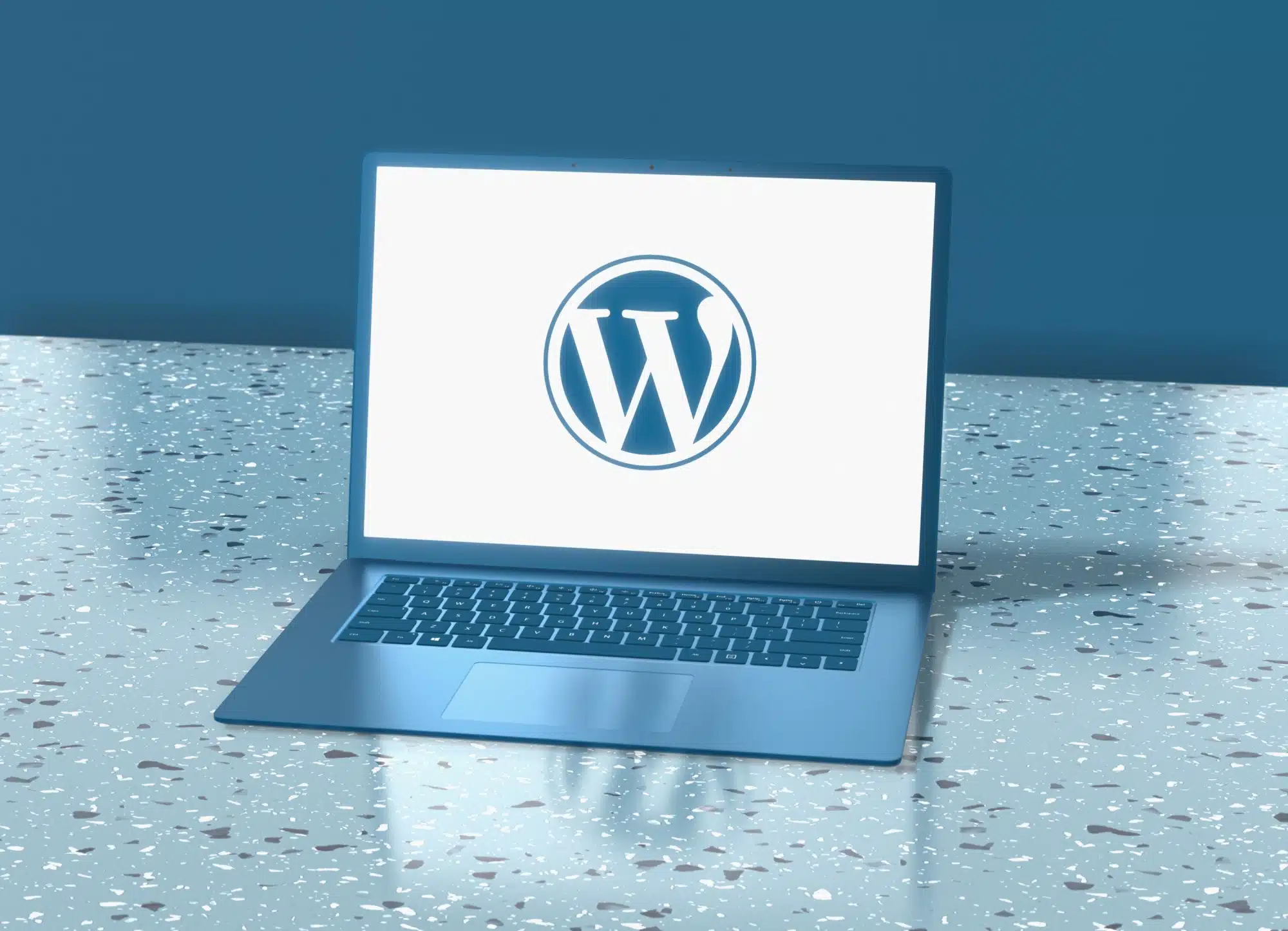 Logo wordpress ordinateur